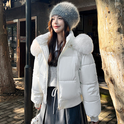 Hooded Large Fur Collar Cotton Short Padded Jacket