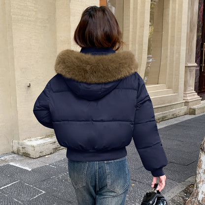 Thick Warm Hooded Short Big Fur Collar Loose Petite Cotton-padded Coat