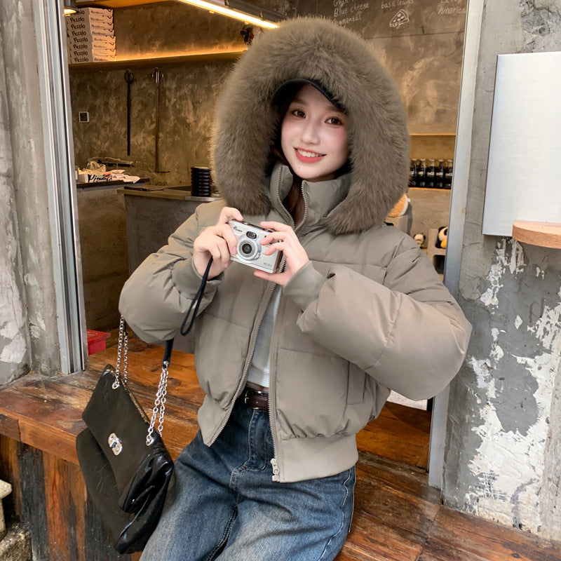 Thick Warm Hooded Short Big Fur Collar Loose Petite Cotton-padded Coat