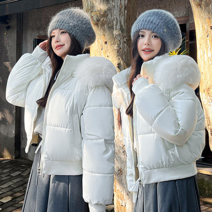 Hooded Large Fur Collar Cotton Short Padded Jacket