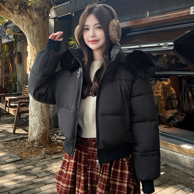 Hooded Large Fur Collar Cotton Short Padded Jacket
