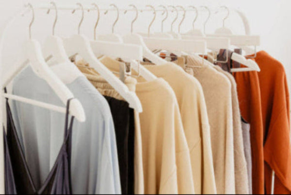 Row of clothes on hangers against a white wall with a plant in the corner.